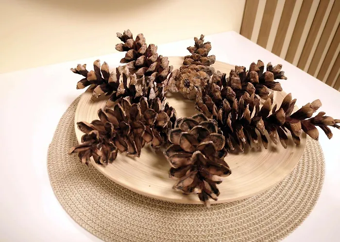 Pine Cone Apartment